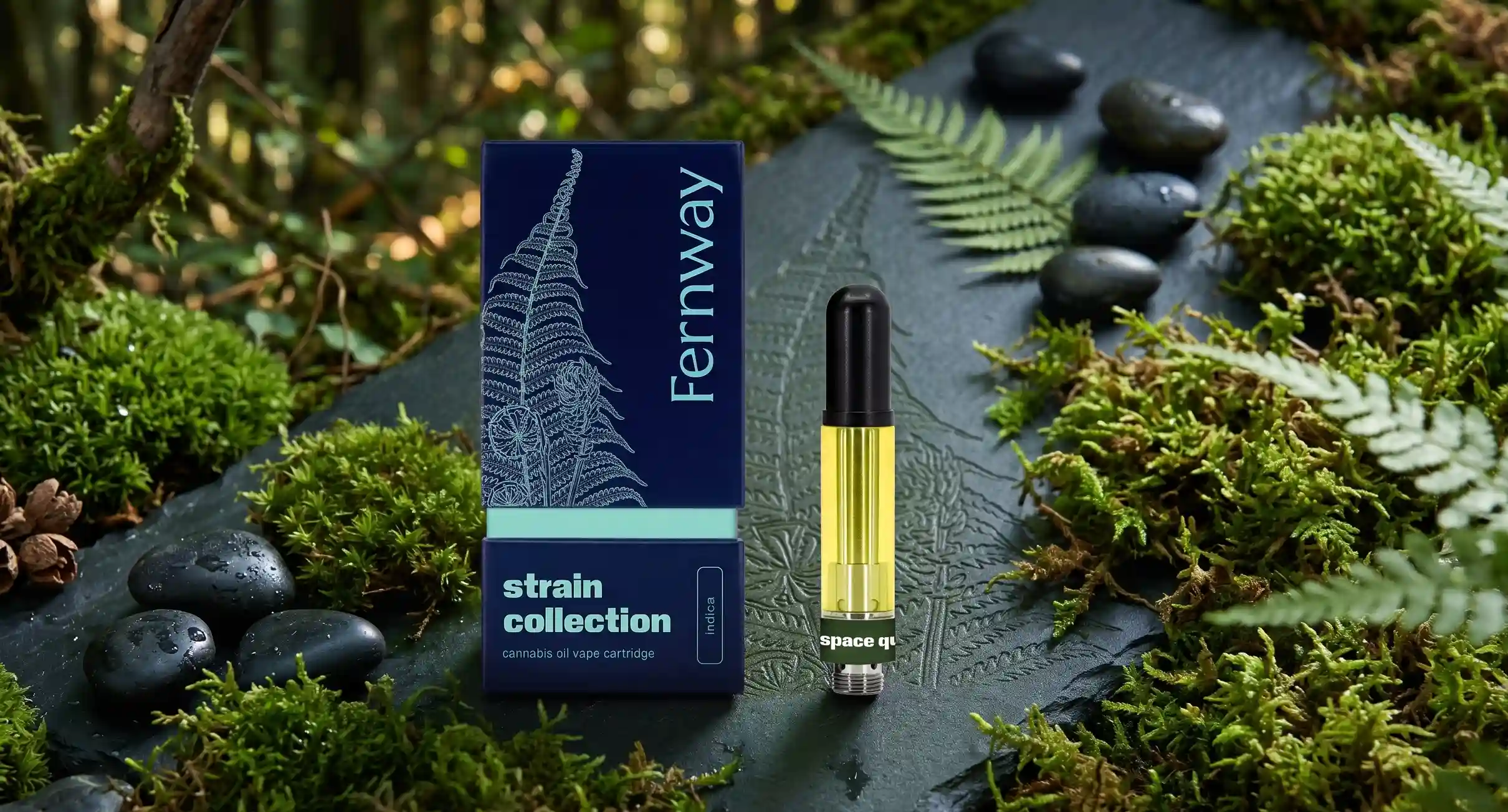 A serene, nature-focused product photograph showcasing a 'Fernway' cannabis vape product arranged in an organic woodland setting. In the center, a dark blue packaging box stands vertically, featuring a white line-art illustration of a fern leaf alongside text that reads 'Fernway,' 'strain collection,' 'cannabis oil vape cartridge,' and 'indica.' Standing next to the box is a clear vape cartridge filled with a glowing golden cannabis oil distillate, finished with a black mouthpiece and a labeled base reading 'space qu...'. The items rest on a dark, textured slate slab surrounded by lush green moss, fresh fern fronds, and smooth, wet river stones. The background is a softly blurred forest with dappled sunlight filtering through the trees, emphasizing an earthy, premium, and tranquil theme.