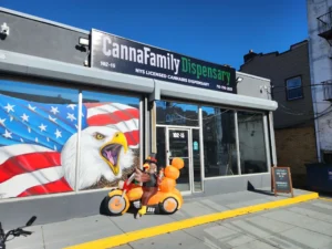 A bright, full exterior photograph of the storefront for 'CannaFamily Dispensary' on a sunny day under a clear blue sky. The grey building features a prominent black overhead sign displaying 'CannaFamily Dispensary' in white and green lettering, accompanied by 'NYS LICENSED CANNABIS DISPENSARY', the street address '102-15', and phone number '718-738-2823'. On the large left window, a detailed mural depicts a screeching bald eagle set against a vibrant American flag. On the sidewalk in front of the glass entrance, a festive Thanksgiving inflatable features a turkey wearing a pilgrim hat riding an orange motorcycle loaded with stacked pumpkins that spell out 'HAPPY THANKSGIVING'. To the right, a chalkboard sign rests on the pavement listing daily hours from '10-10' with a '21+' requirement, set along a sidewalk marked by a brightly painted yellow curb.